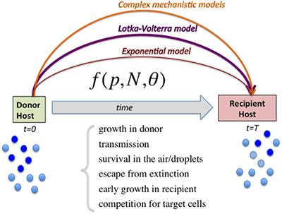 Modeling Competitive Mixtures With the Lotka-Volterra Framework for More Complex Fitness Assessment Between Strains